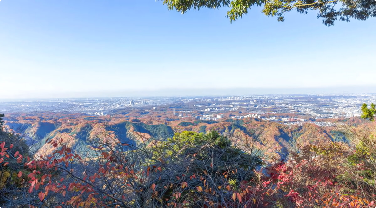 Wat zijn de populairste voertuigkeuzes in Hachiōji?